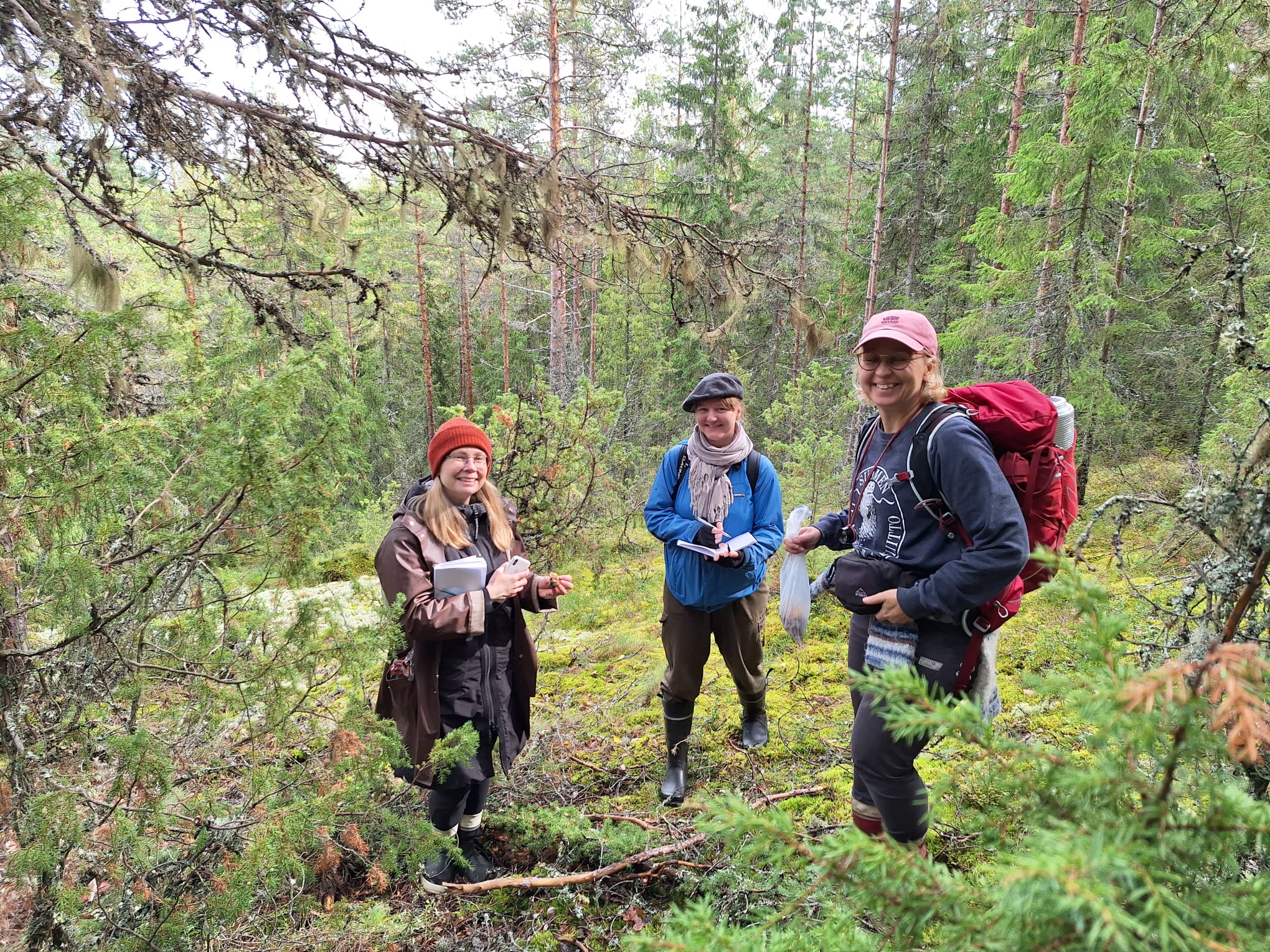 Iloiset naiset metsässä.