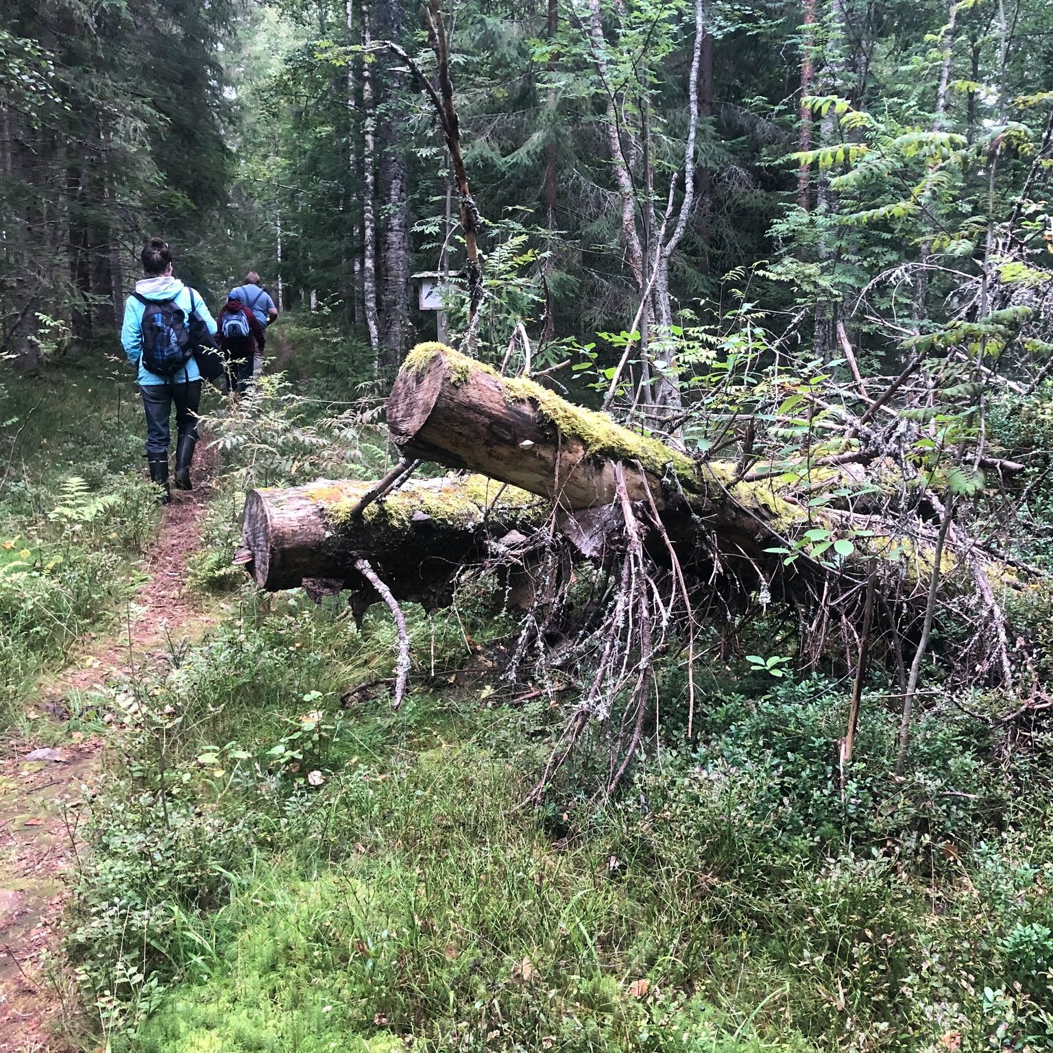 Retkeläisiä Konnevedellä.