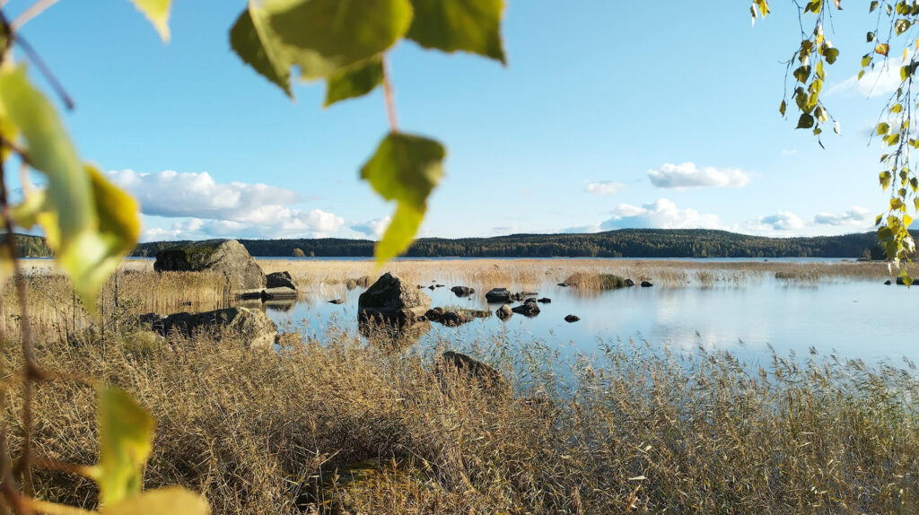 Längelmävesi Matinsaaresta