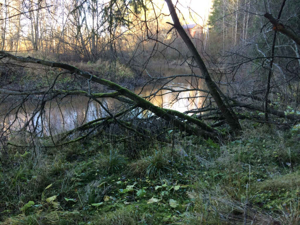 Keravanjoki mutkittelee Salmelan lehtomaisemissa