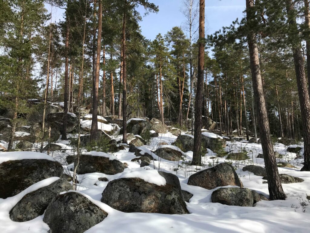 Lohkareista kalliometsää