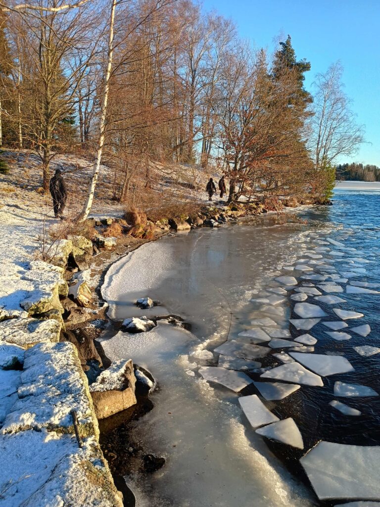 Ahtojäitä talvisessa rannassa