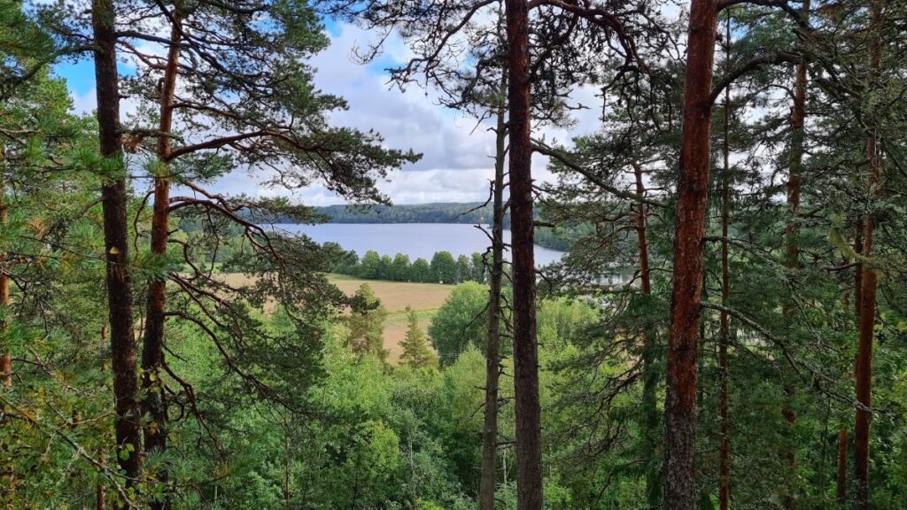 Maisemanäköala metsästä luontopolun korkealta paikalta kohti peltoa ja järveä.