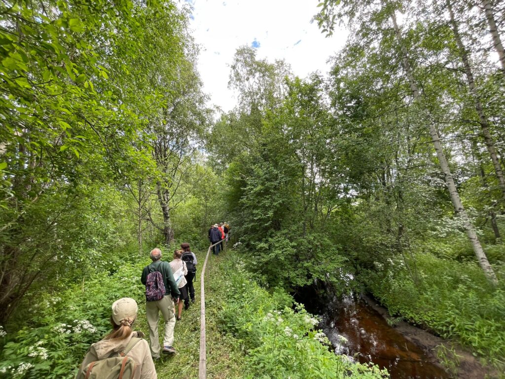 Luontoretkeilijät kulkevat joen viereisellä polulla tarkkaillen ympärillään olevaa lehtomaisemaa.