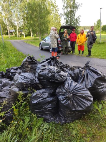 Kuortaneella ahkera talkooporukka kitki monta säkillistä jättipalsamia. Kuva T. Rajala