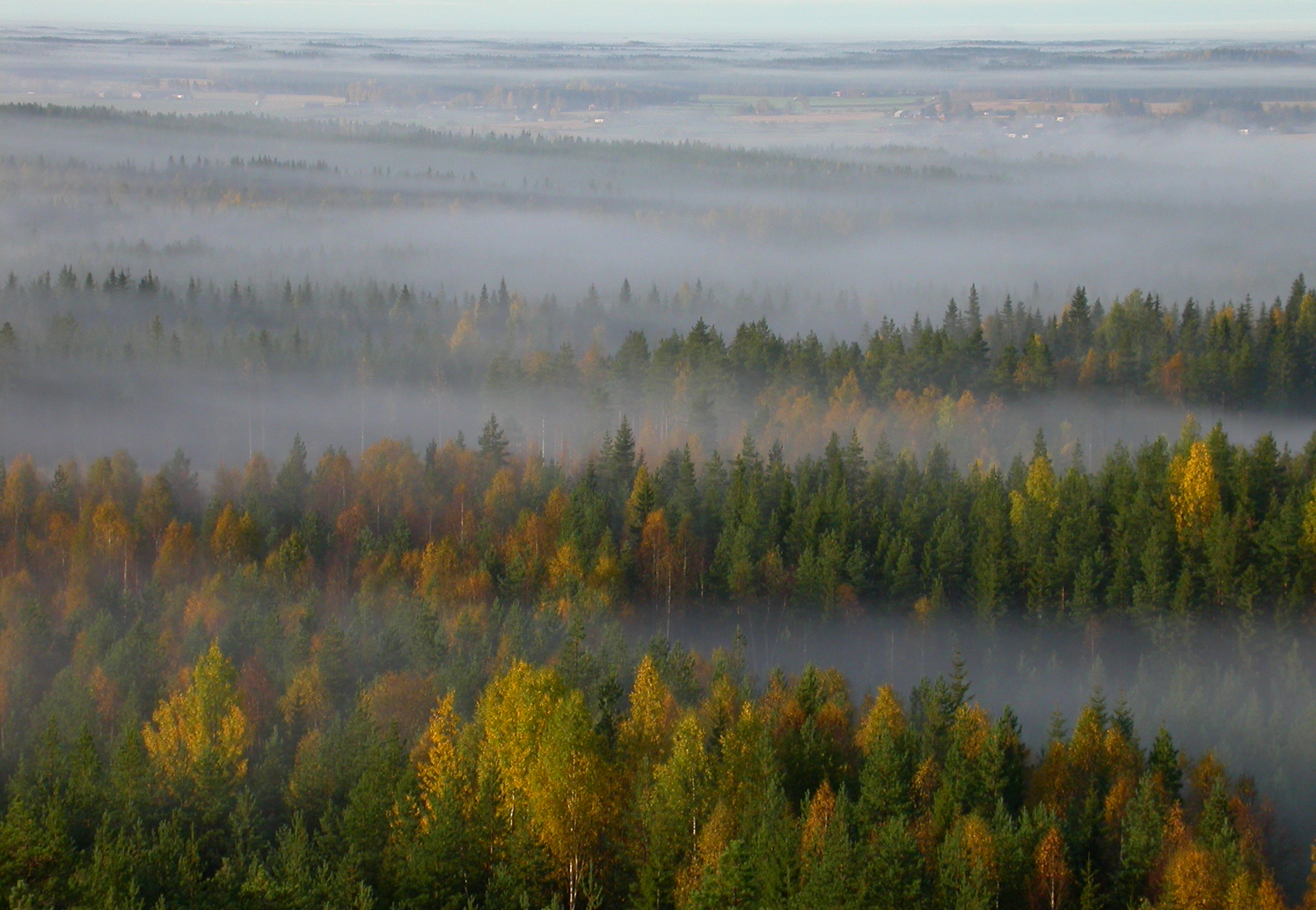 Lokakuinen maisema Kuortaneen Rumavuorelta. Kuva E. Rajala