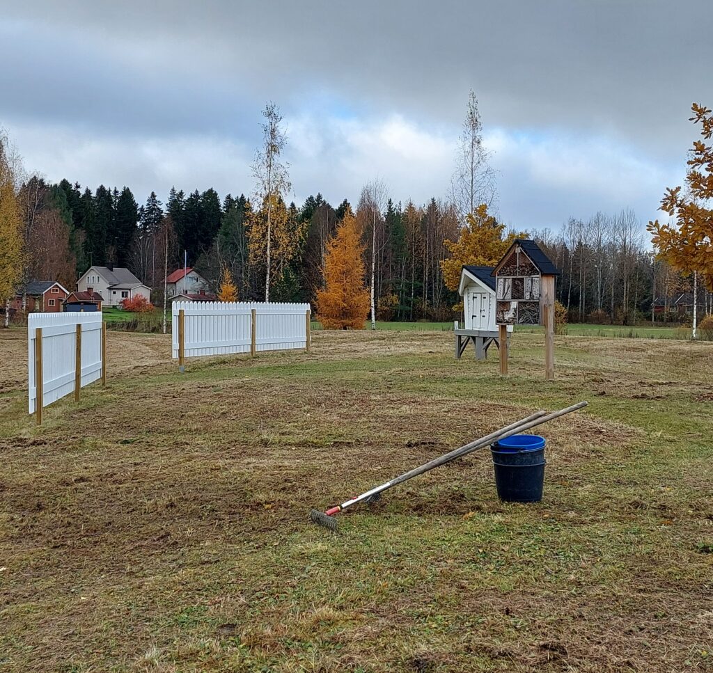 Luonnonkukkien kylvöalue Veteraanitien varrella Alavudella. Kuva T. Hakala