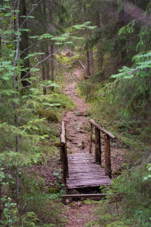 Kuvituskuva. Kullaan Rekitaipaleenjärvi, kuvaaja Tarja Aho.