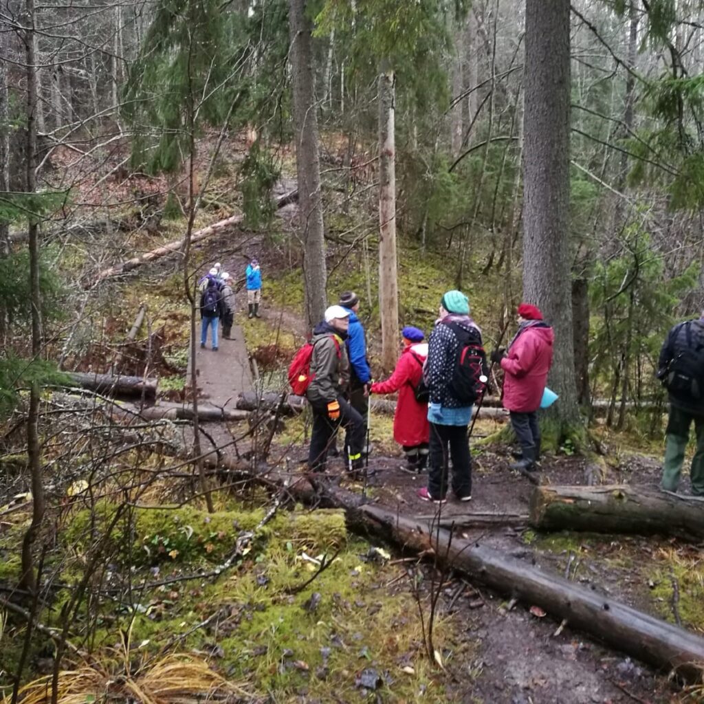 Joukko ihmisiä retkellä metsässä. On hieman sateinen sää. 