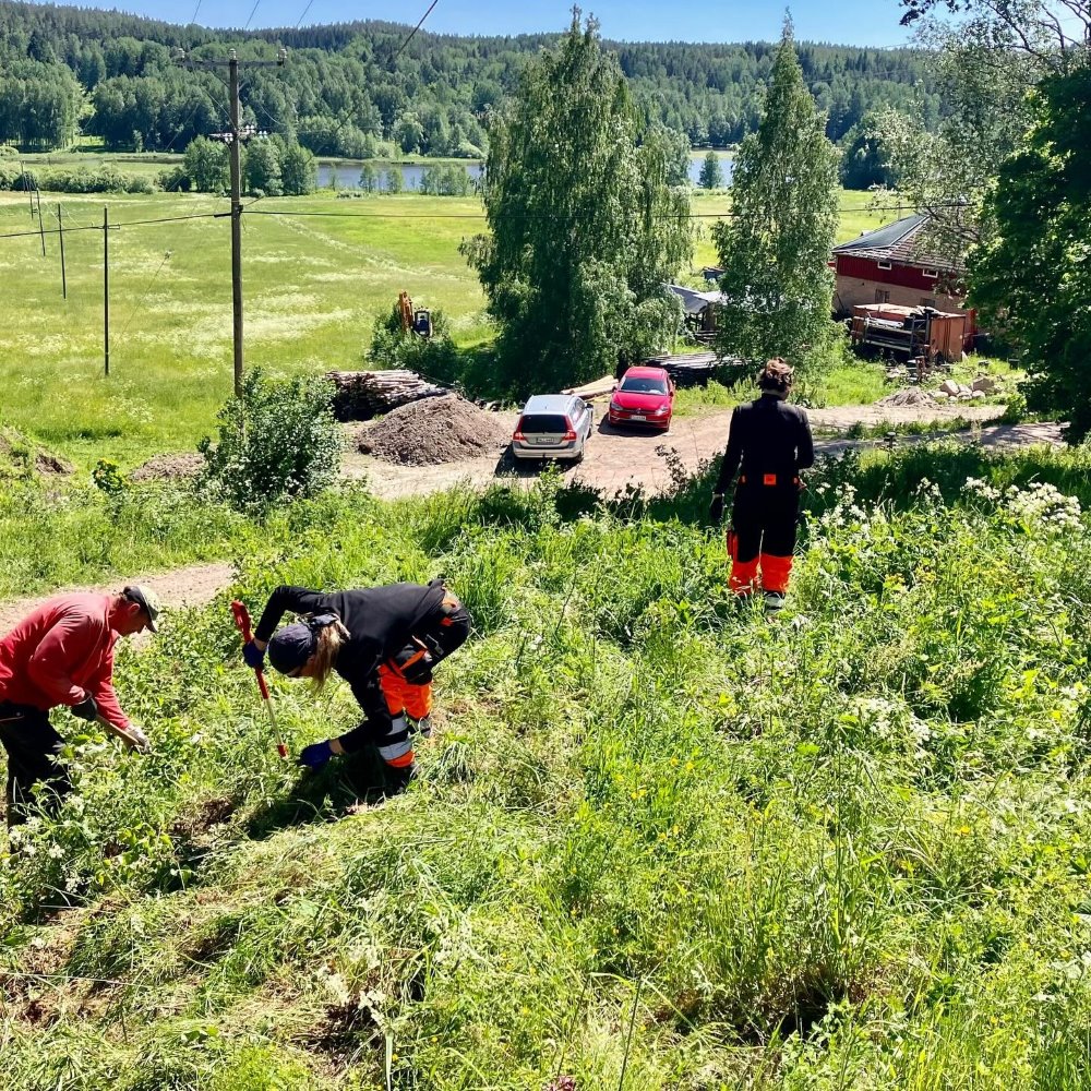 Maasotyöntekijöitä työn touhussa, taustalla peltoa, jokin rakennus ja autoja pihassa sekä ihan taustalla metsää ja sininen taivas.