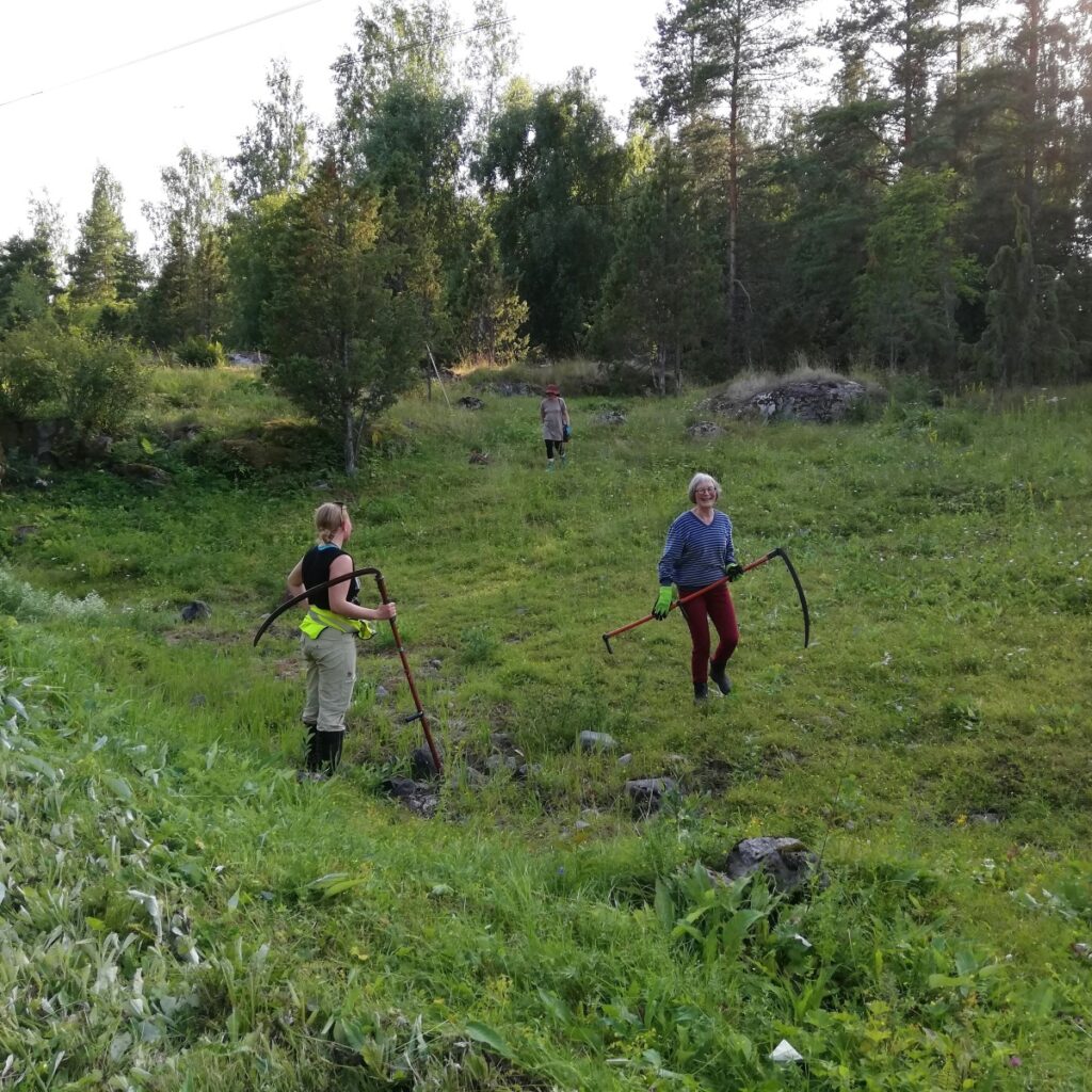 Kaksi ihmistä niitetyssä maisemassa viikatteet olalla. Taustalla puita.