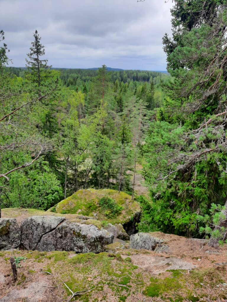 Kallio, josta komea metsäinen näköala. Pilvinen taivas, mutta ei ihan pimeää kuitenkaan.