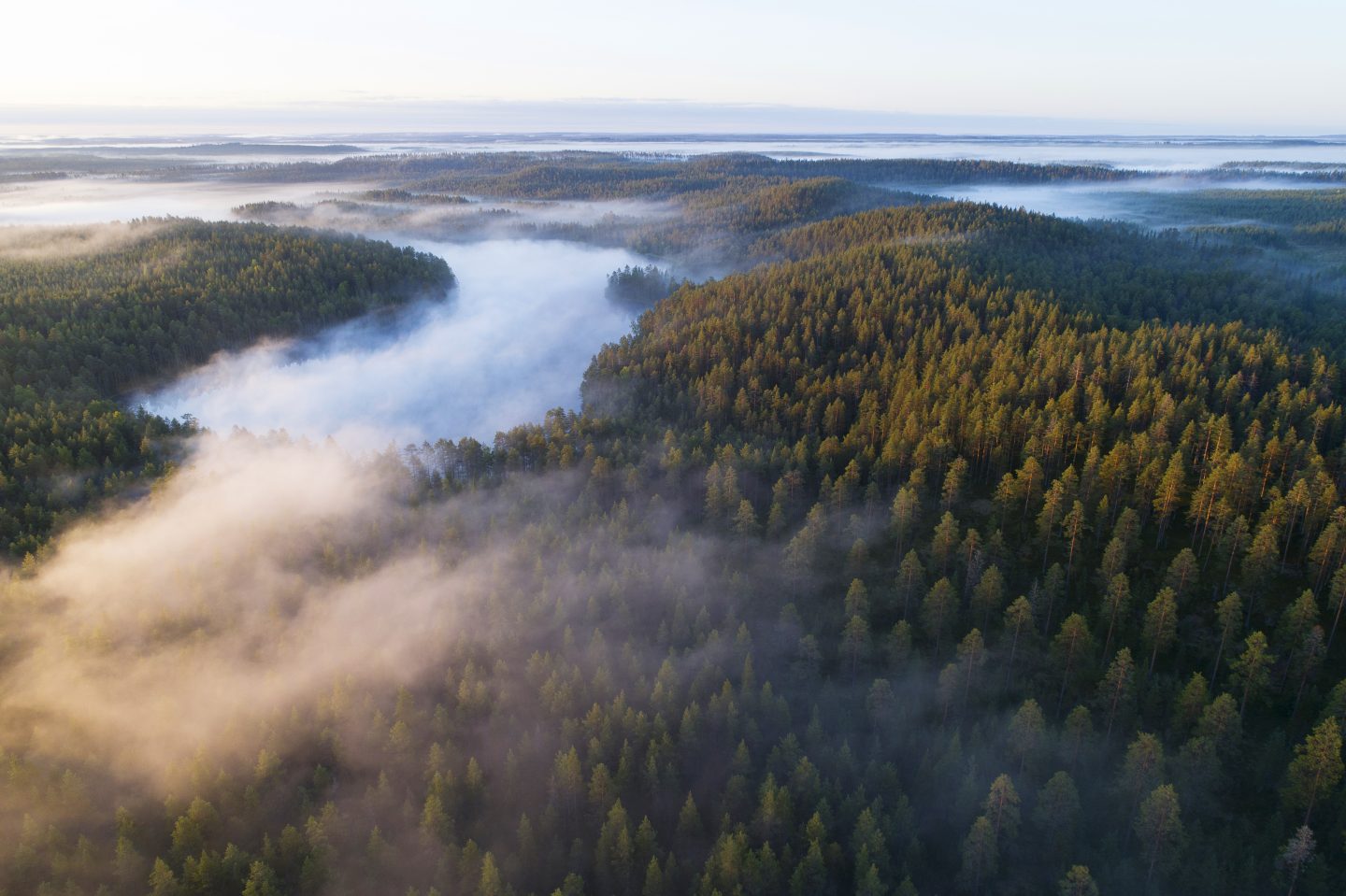 Metsähallitus vaikeuttaa paikallisia elinkeinoja – Suomen  luonnonsuojeluliitto