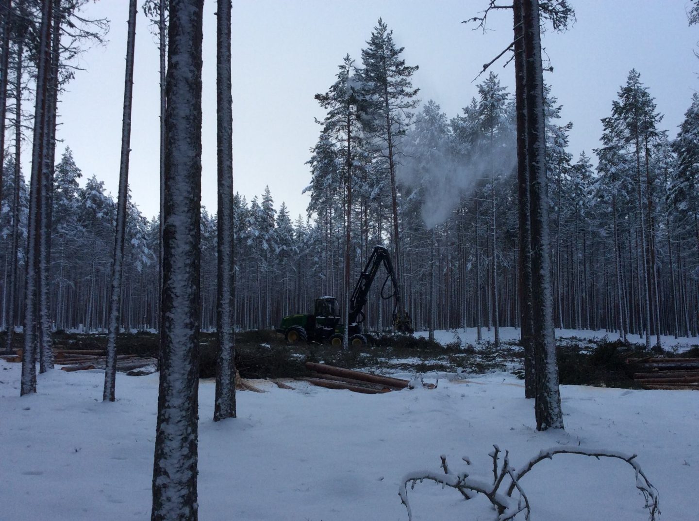 Metsäkone hakkaa Oulunjärven Ärjänsaaressa tammikuussa 2016.