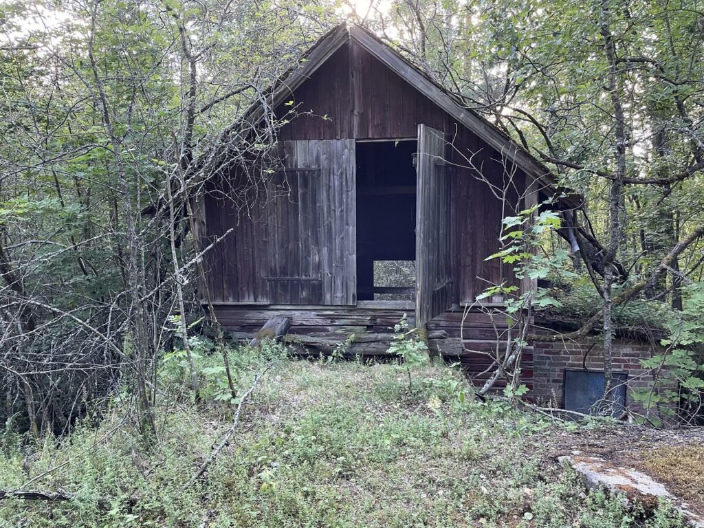 Ränsistynyt rakennus metsässä