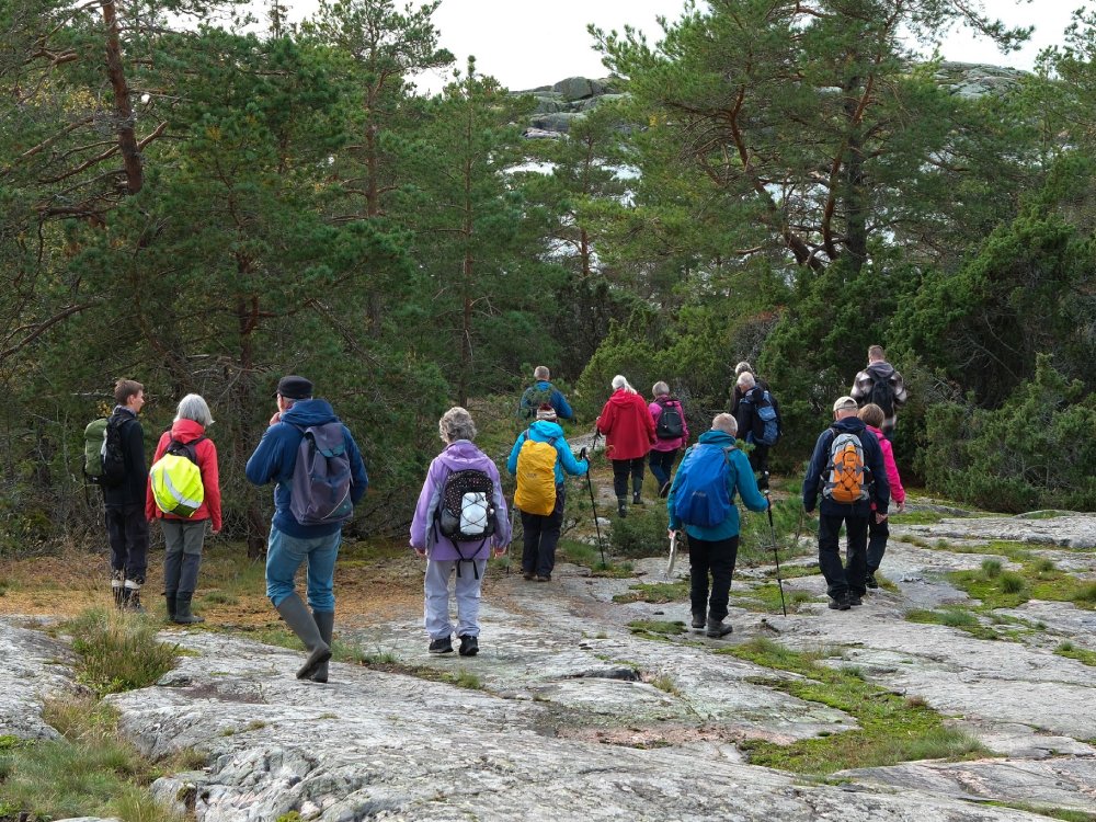 Människor, klippor, träd