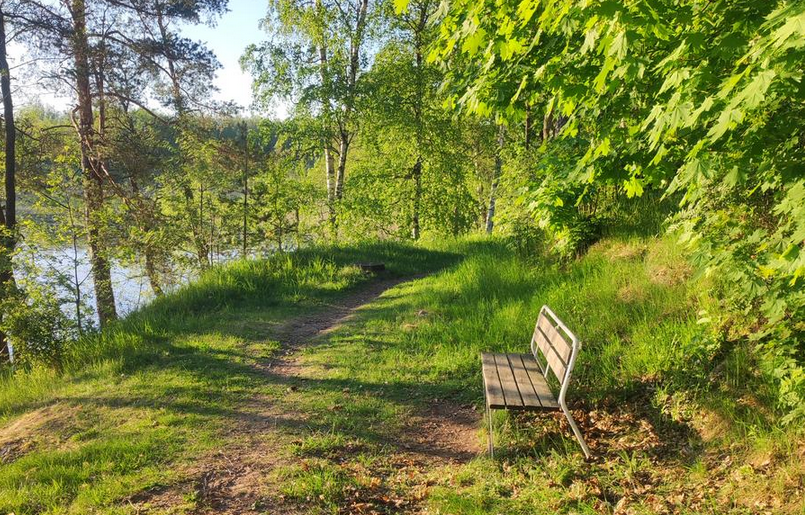 polku ja penkki aamuauringossa, vasemmassa laidassa näkyy rinteen alla kaistale Lippajärveä