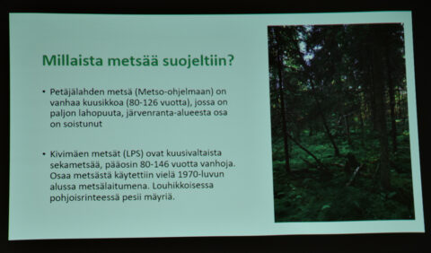 millaista metsää suojeltiin.