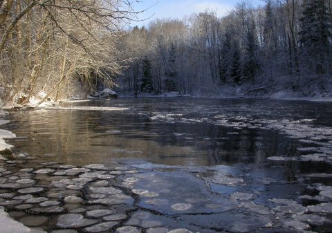 Arvokkaita luontokohteita - Suomenselän yhdistys