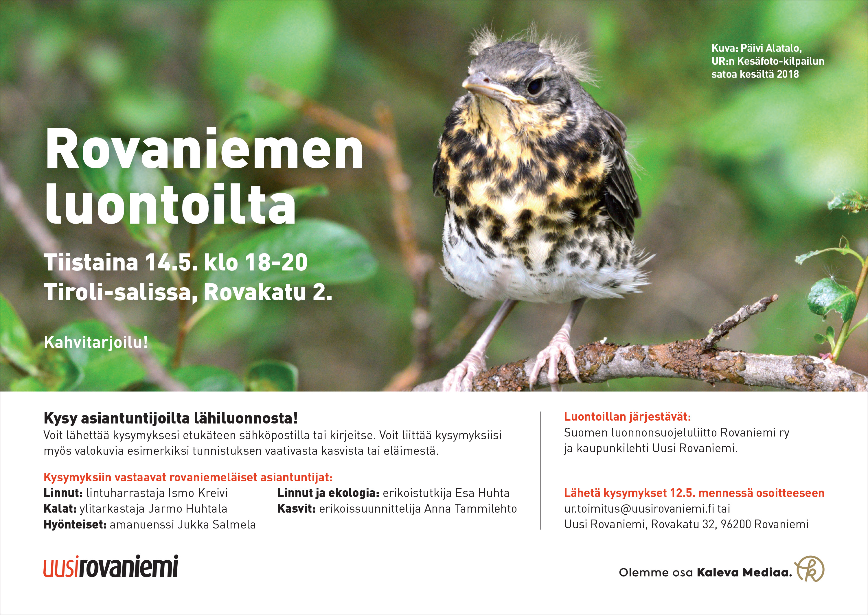 Varma kevään merkki: Rovaniemen luontoilta - Rovaniemen yhdistys