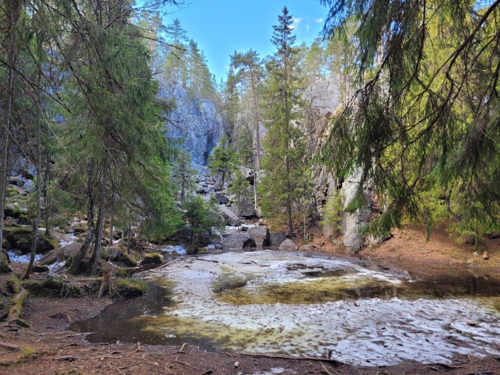 Pirunpesä Tiirismaalla