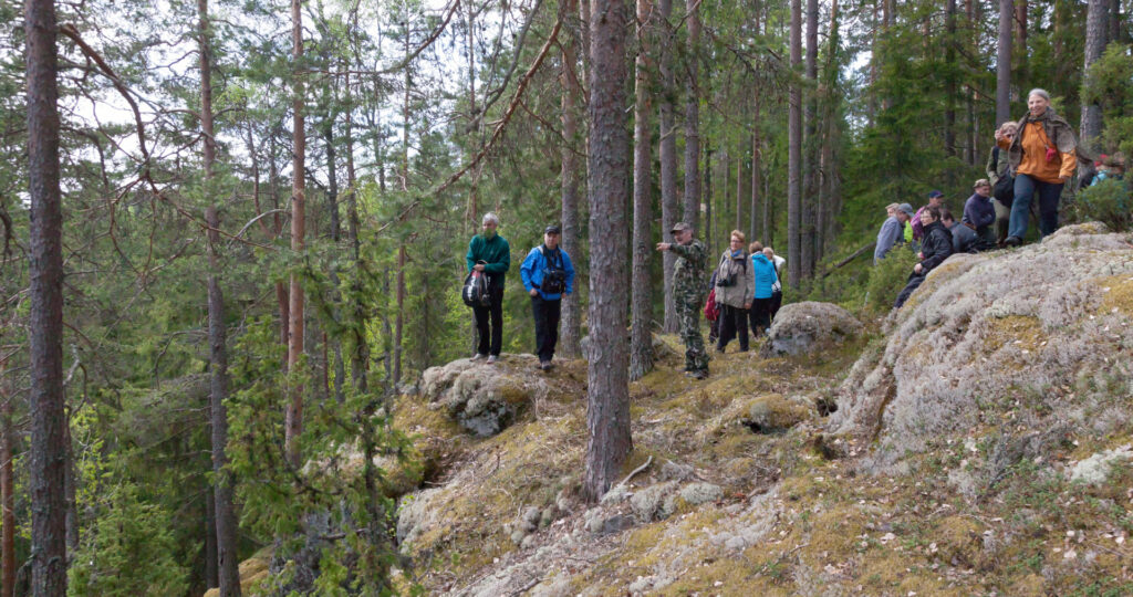 Ihmisiä metsäisellä kalliolla.