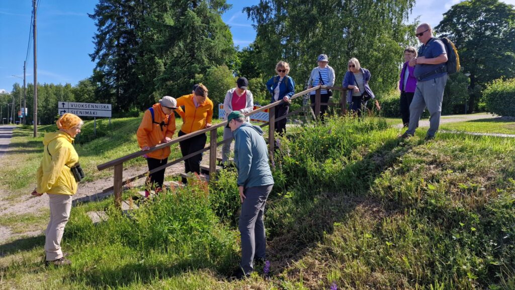 Joukko ihmisiä portaikolla katsomassa portaiden vieressä kasvavia kasveja. 