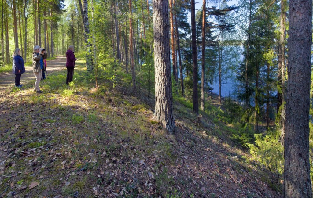 Neljä ihmistä katselee metsäisen harjurinteen päätä järvelle.