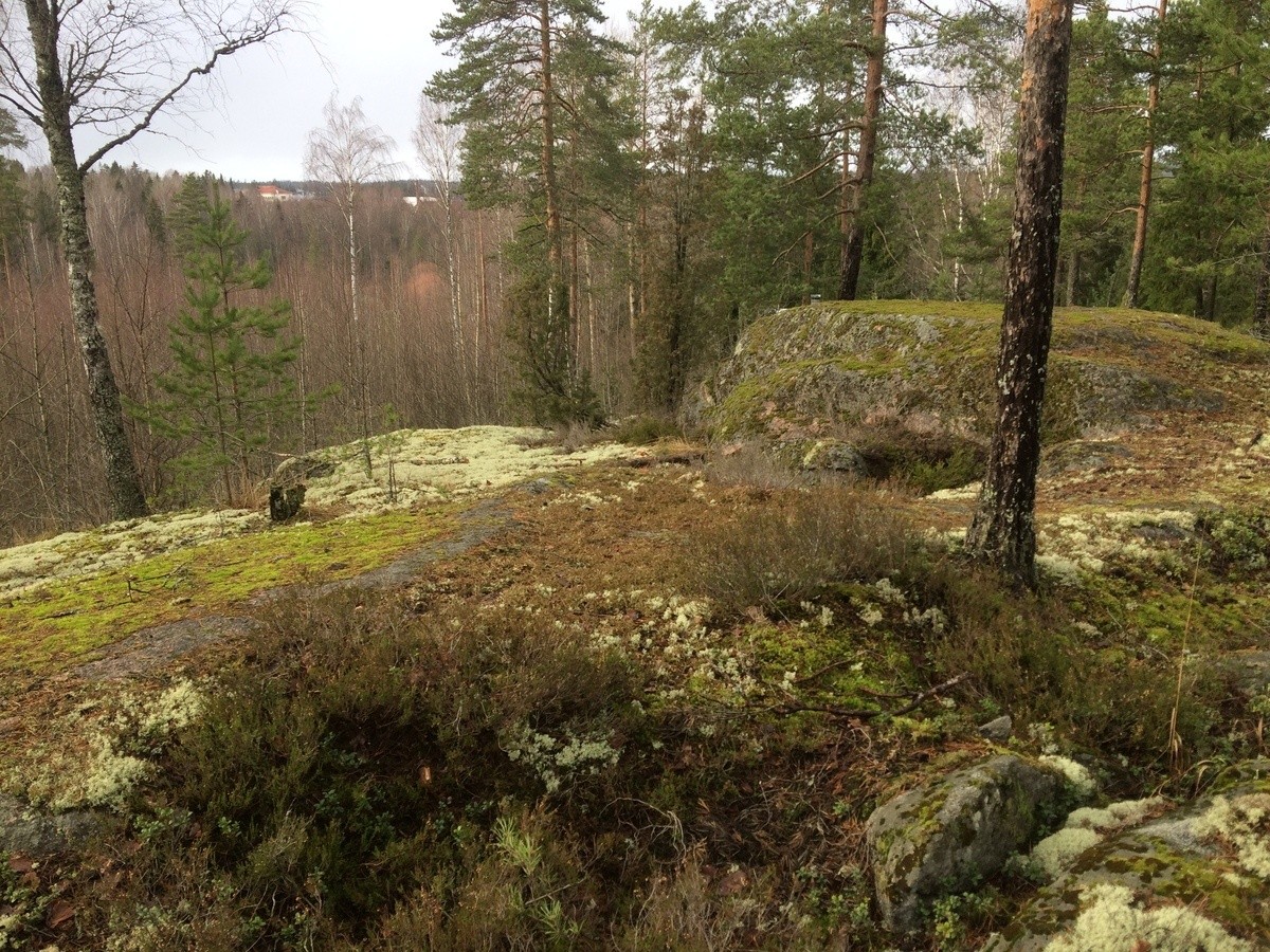 Jänisvuoren kallioita. Kaukaisuudessa näkyy rakennuksia.