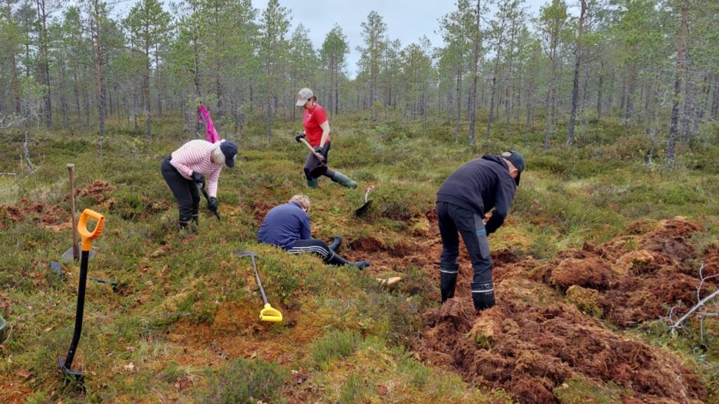 Talkooväki kaivaa nevaa lapioin ja kuokin.