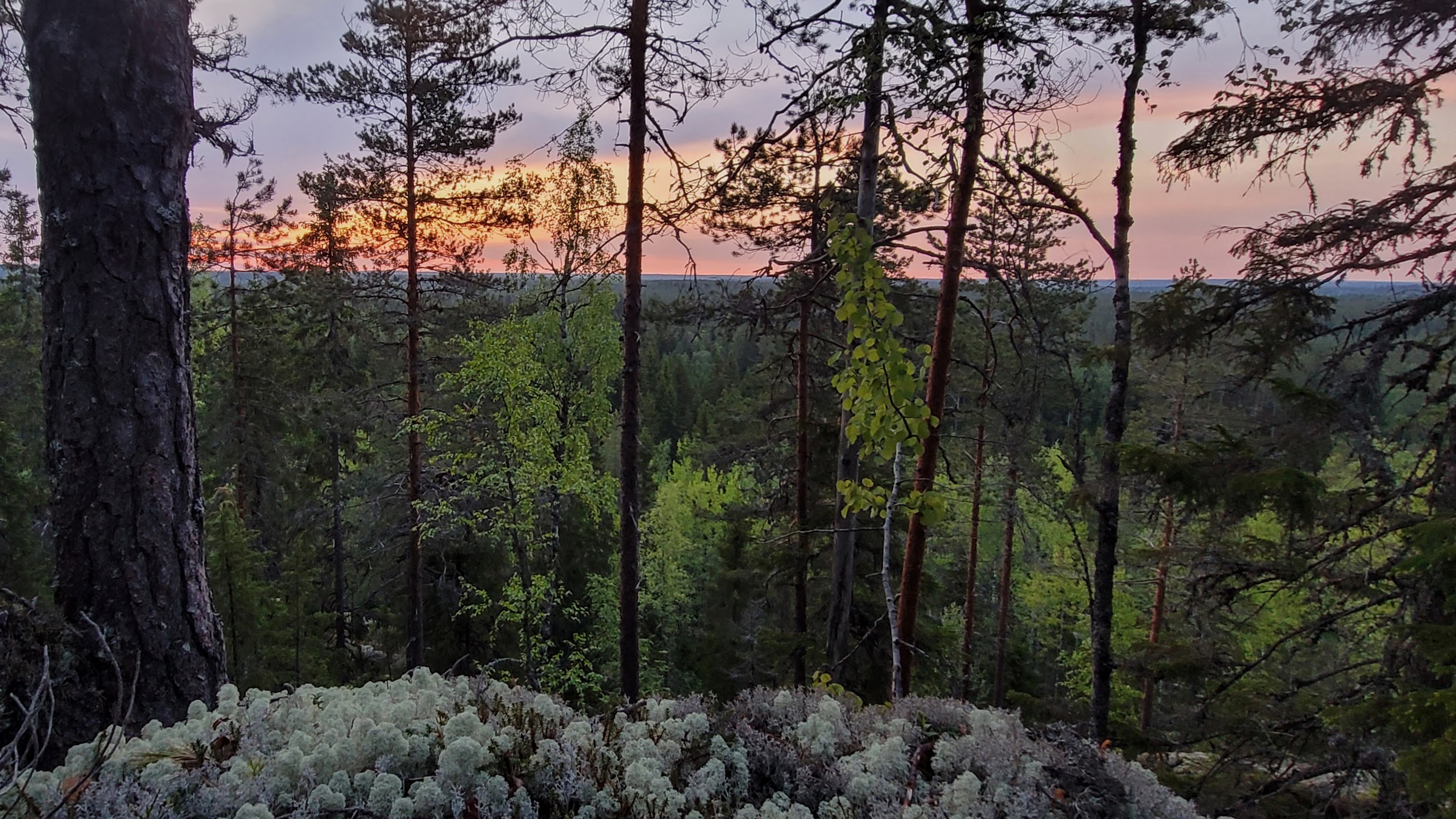 Punainen taivaanranta kuvattu korkealta Iso Karhuvuoren päältä.