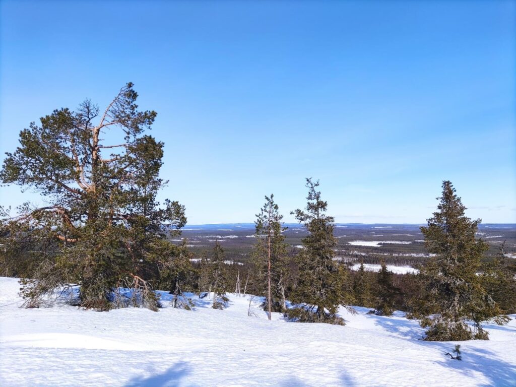 Aalistunturi. Talvi. Maisema.