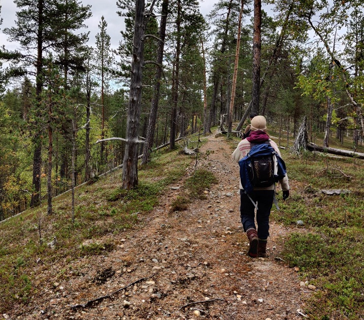 Kävely harjulla. Tsarmitunturin erämaa-alue, Inari.