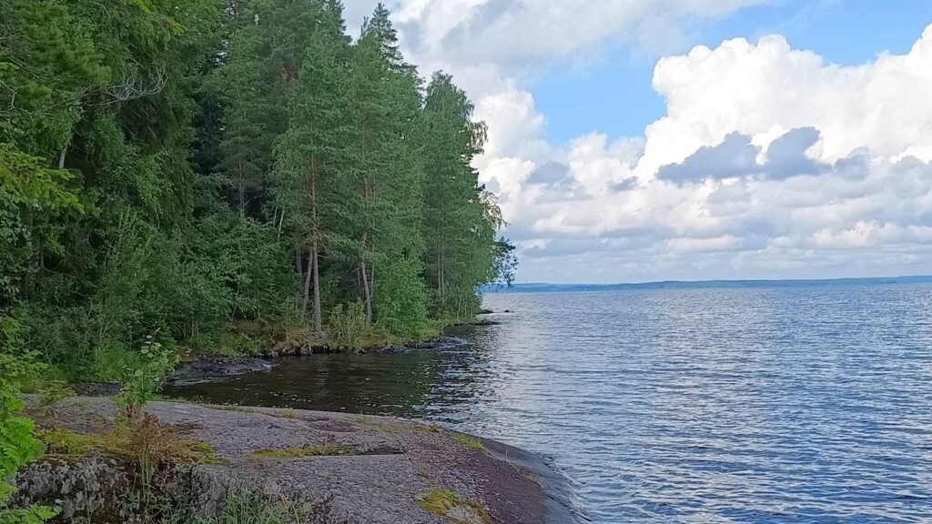 Näsijärven rantavesiä ja rannalla kasvavaa metsää. Taivaalla on pilviä.