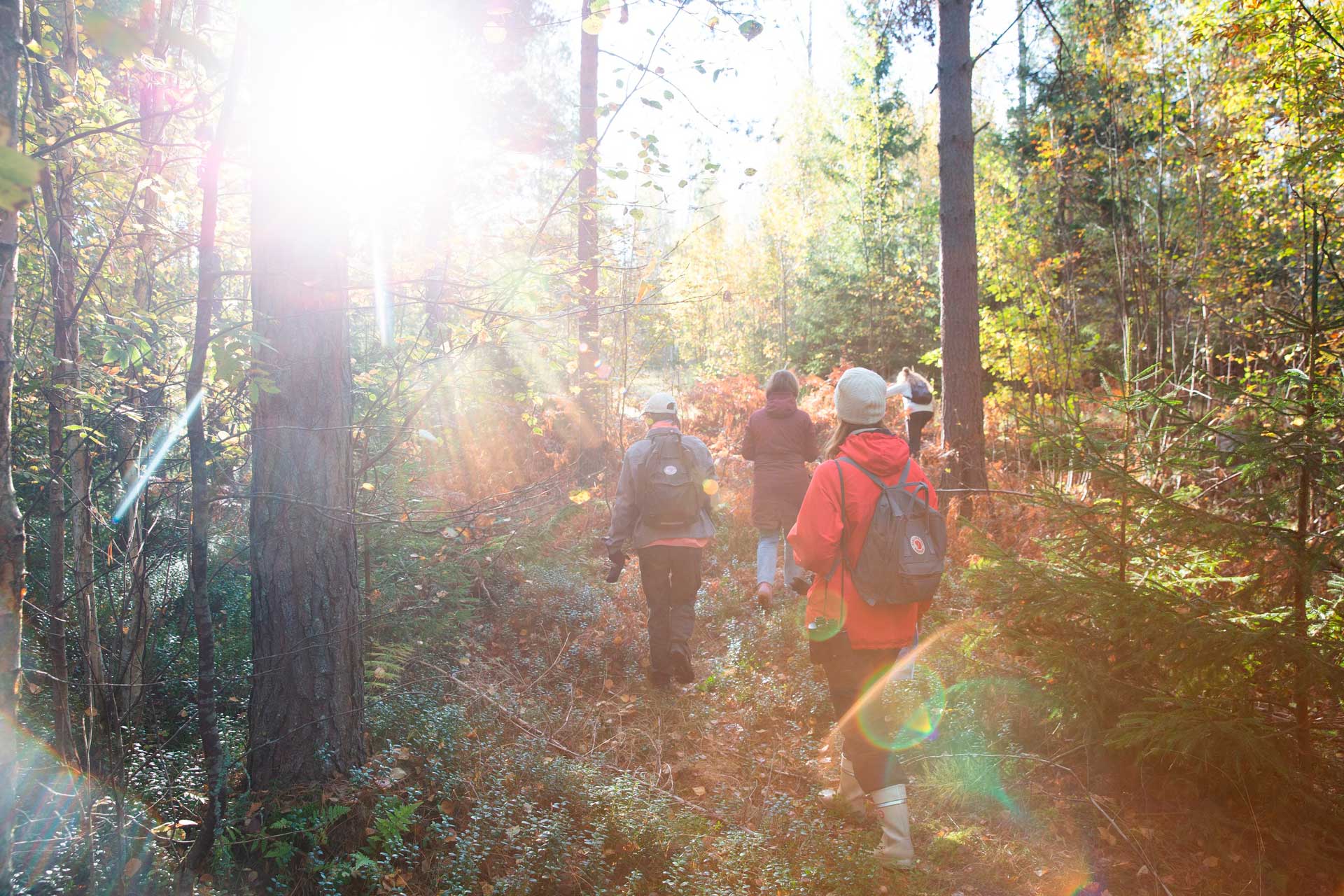 Ihmisiä metsässä