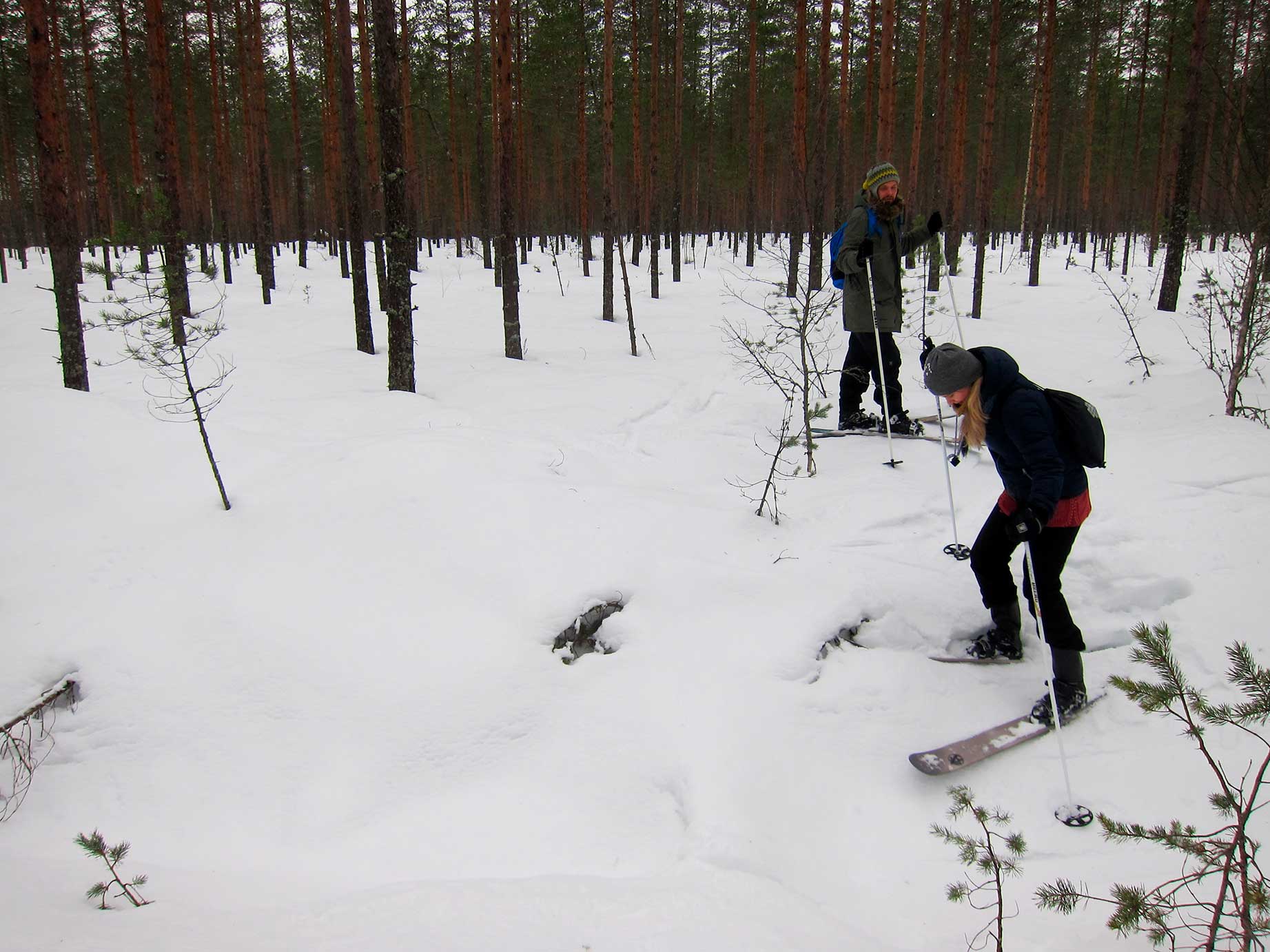 Hiihtäjiä Teerisuolla