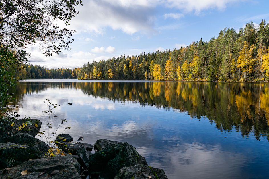 Järvimaisema