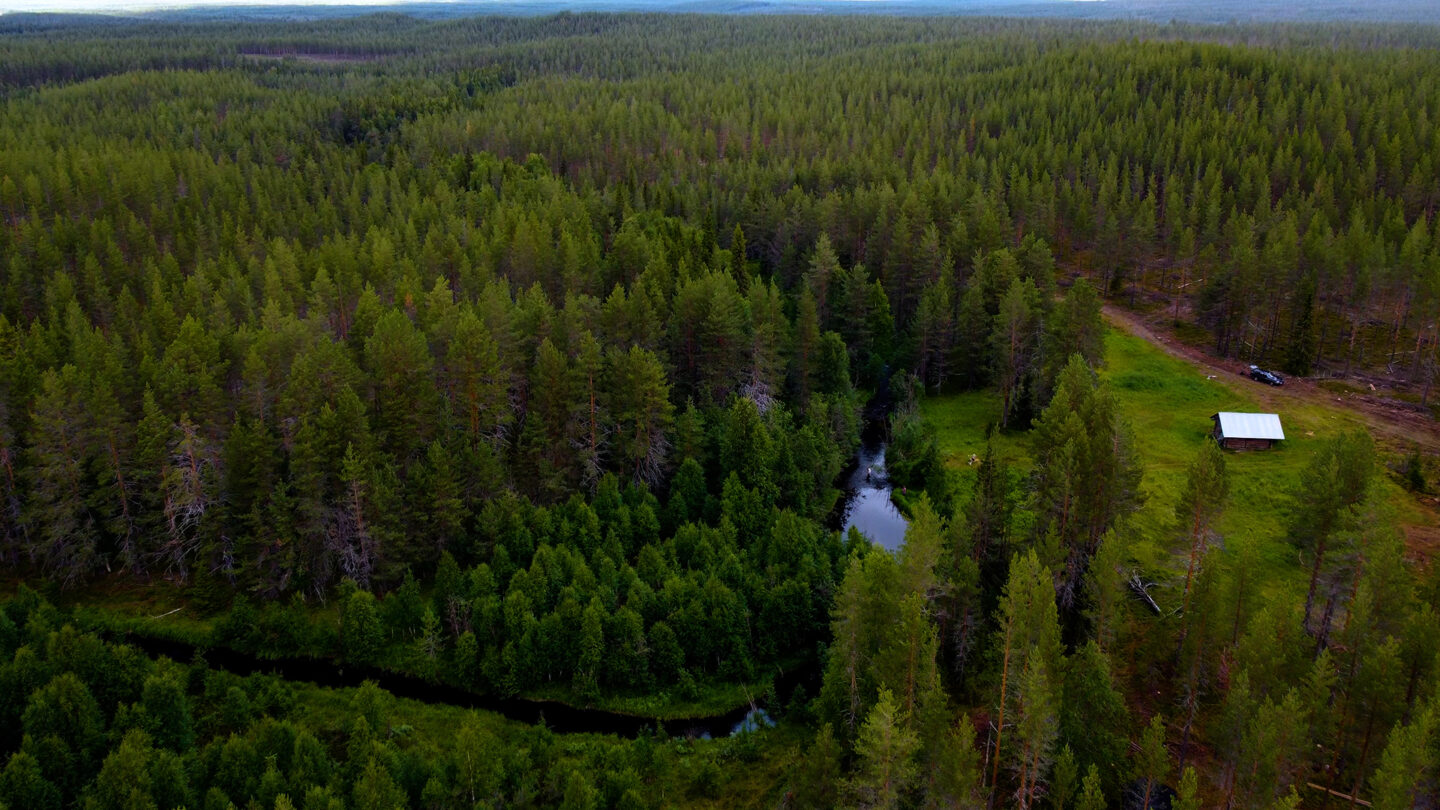 Naamijoen Tammikuoppa Kolarissa