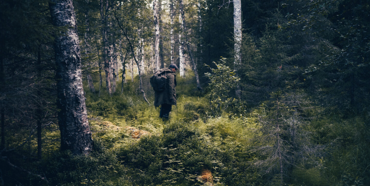 Muonion ja Kolarin ainutlaatuinen luonto