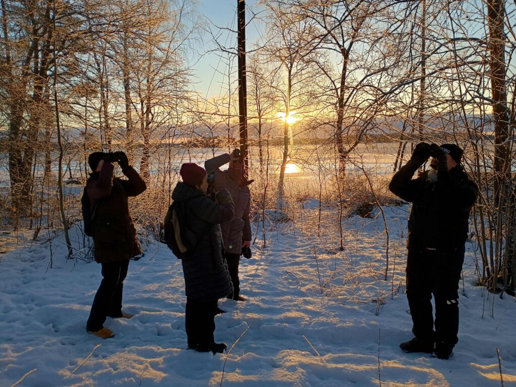 Staijarit kiikaroivat lintuja talvisessa auringonpaisteessa.