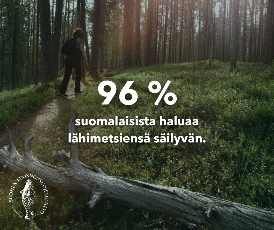 96% suomalaisista haluaa lähimetsiensä säilyvän