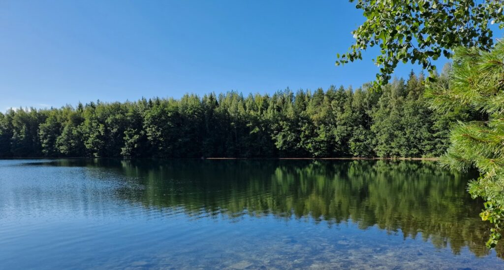 Järvi, metsää ja täysin sininen taivas.