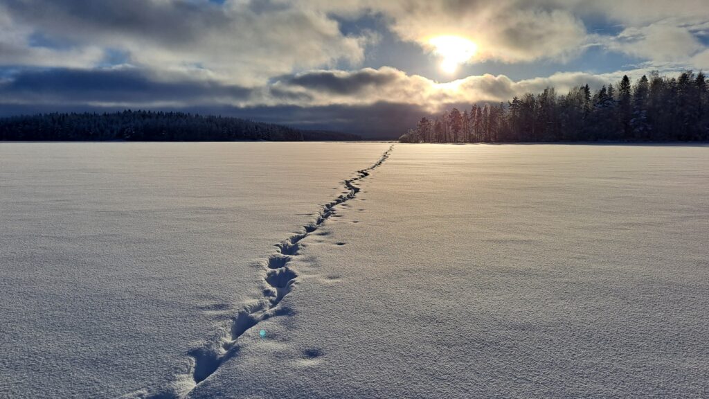 Talvinen maisema aurinkoisena päivänä jäällä. 