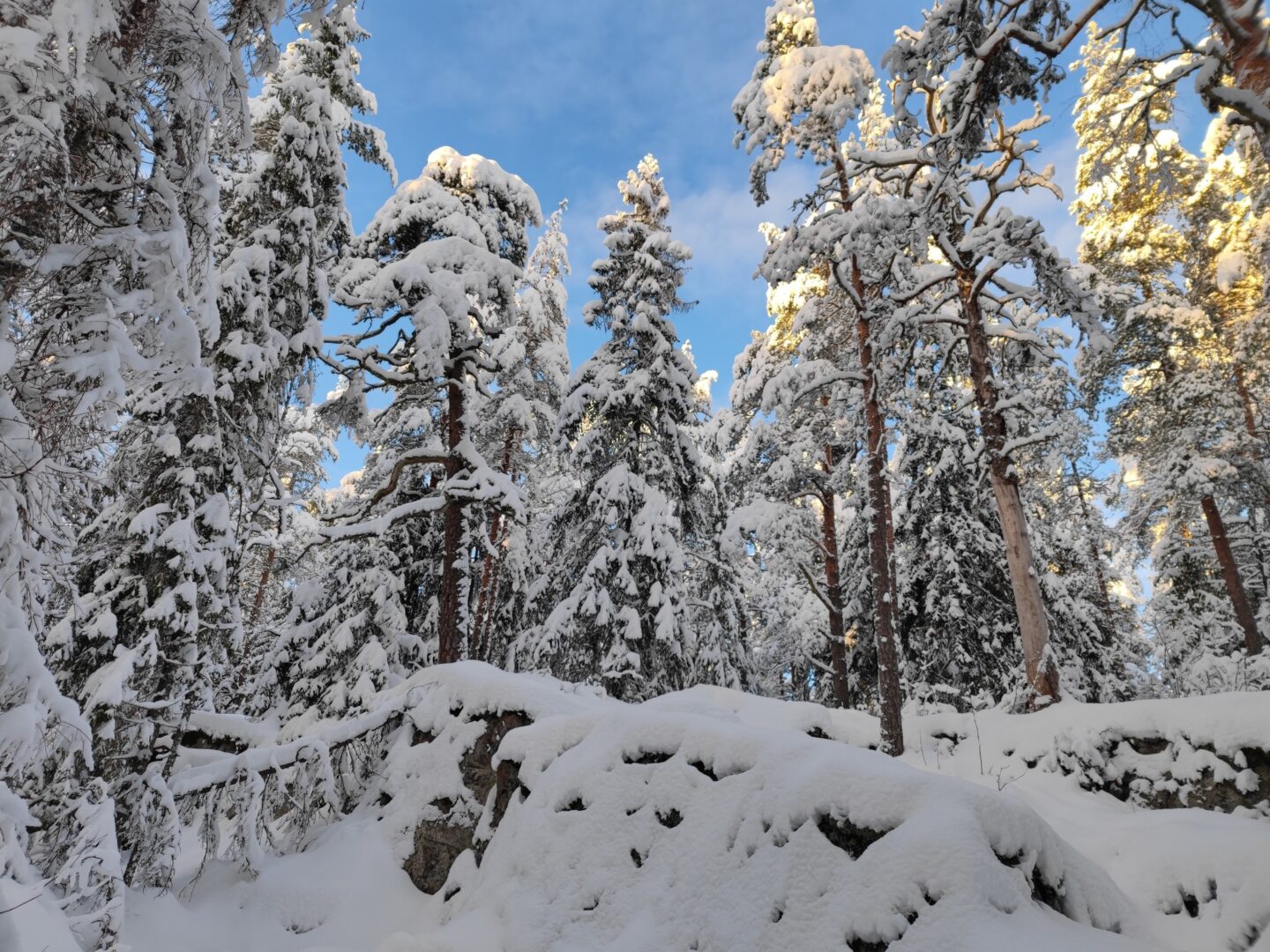 Sipoo, tuntematon kuvaaja