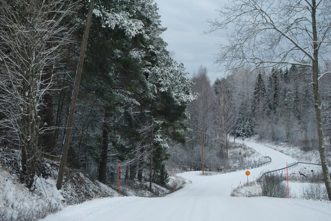 Talvinen metsämaisema Vihdin Termalammelta. Kuvassa mäntyjä ja tietä.