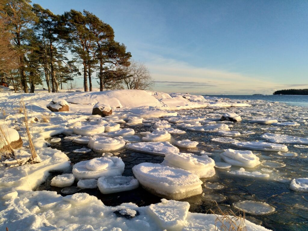 Pyöreitä jäälauttoja meren rannalla.