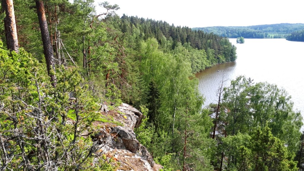 Näkymä Pääkslahden luonnonsuojelualueella Laukkakallion jyrkänteeltä Hiidenvedelle. Jyrkkä, metsäinen rinne ja järvi.