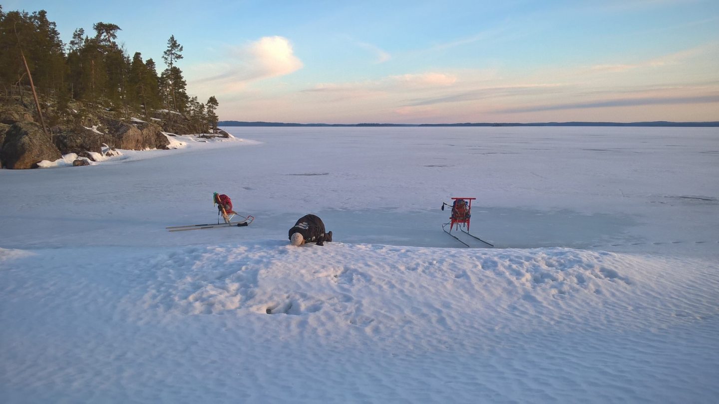 Pesälaskentaa Saimaalla apukinoksella. Kuva: Kaarina Tiainen