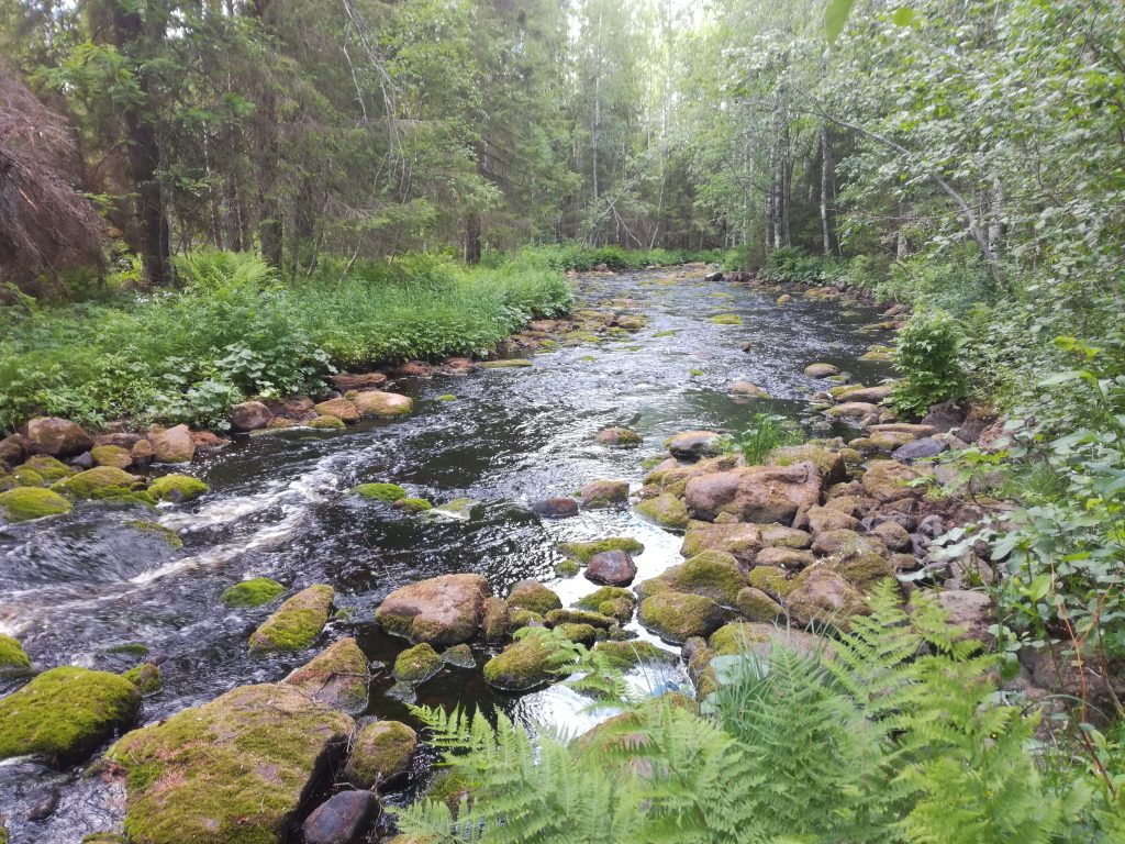 Moksinjoki Saarijärvellä.