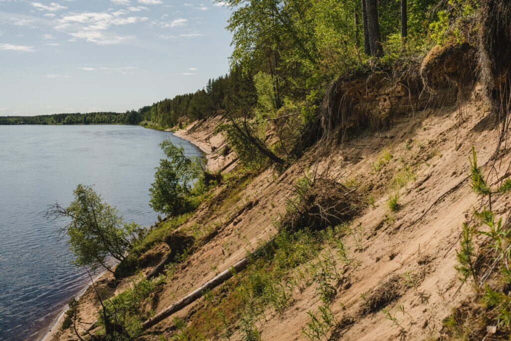 Kemijoelle tyypillisiä ovat korkeat hiekkatörmät, joissa elää törmäpääskyjä. Törmät jäisivät veden alle voimalaitoksen rakentamisen myötä. Kuva: Jaakko Posti.